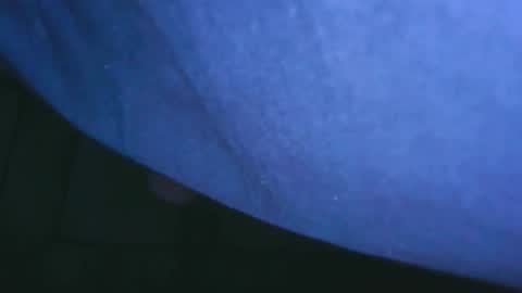 hofnung online show from 02.25.26