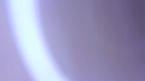 hofnung online show from 04.01.26