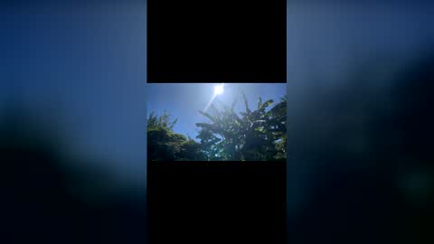 Bonaerense online show from 02.07.26