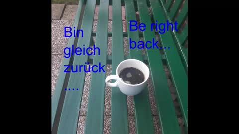 Holger online show from 09.29.25