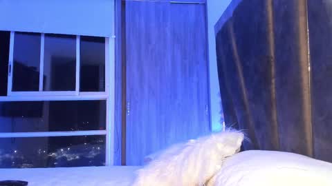 Mara online show from 02.11.25