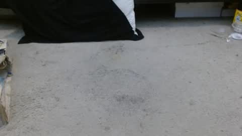 Holly Hawkes online show from 01.30.25