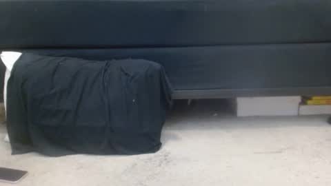 Holly Hawkes online show from 03.03.25