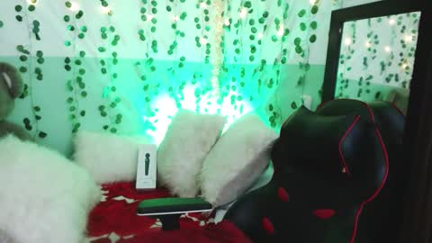 Snapshot of hollyxx_ chatting on 12.30.24 holly online show from 12.30.24