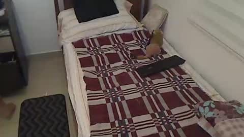 Holofernes45gil online show from 04.03.26