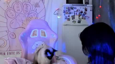 Snapshot of holy420loly chatting on 01.18.26 Ho Lee Sheet online show from 01.18.26