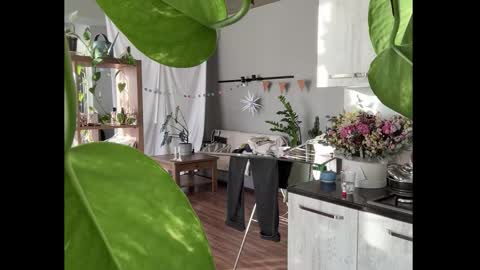 dori not holy get my tg channel with link from description under last photo online show from 01.08.26