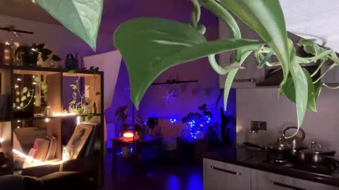 dori not holy get my tg channel with link from description under last photo online show from 04.20.26