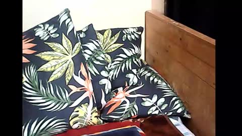 Snapshot of holygurl77 chatting on 10.14.25 cristy online show from 10.14.25