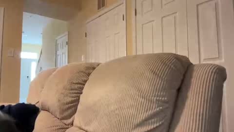 honey_man14 online show from 02.17.25