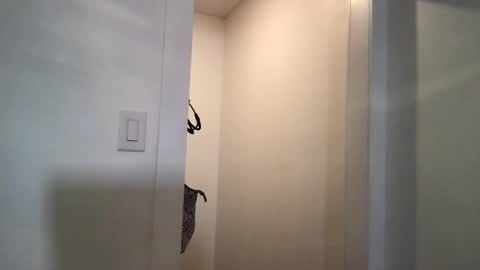 Snapshot of honeybeexx69 chatting on 03.05.25 HoneyBeeXx69 online show from 03.05.25