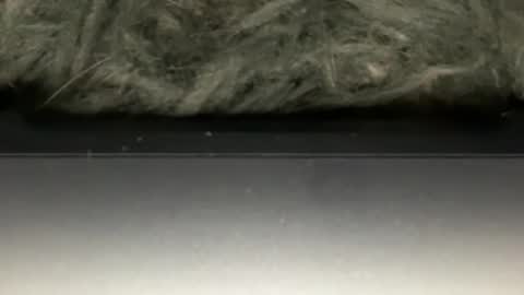 Snapshot of hoodiesahdgoodies chatting on 02.23.26 D online show from 02.23.26