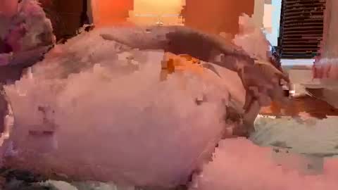 Snapshot of horndawglove chatting on 01.06.25 horndawglove online show from 01.06.25