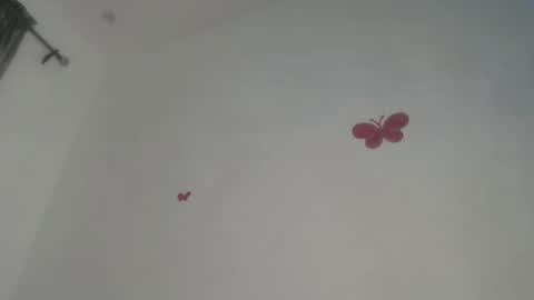 Iris online show from 11.20.25