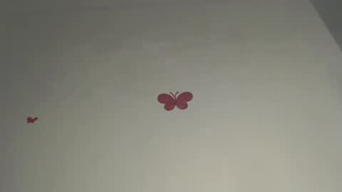 Iris online show from 03.03.26