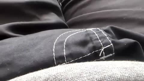 Tiny cock online show from 01.31.26