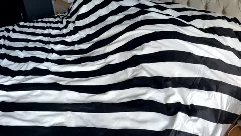 Snapshot of hornyasscouple1009 chatting on 01.17.26 hornyasscouple1009 online show from 01.17.26