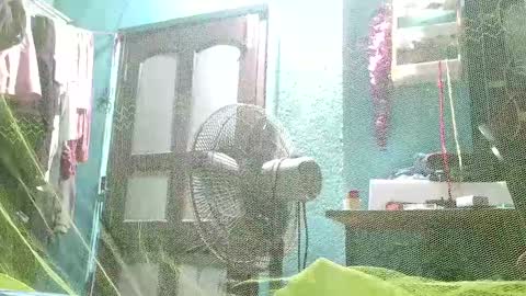 Snapshot of hornylucifer8 chatting on 12.03.24 hornylucifer8 online show from 12.03.24