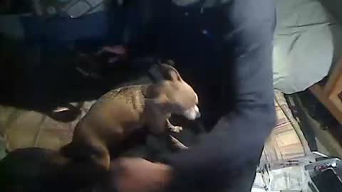 hornyscott666 online show from 03.04.26