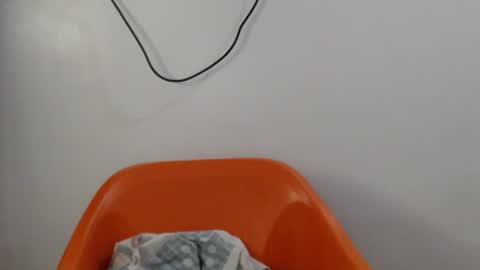 Snapshot of hornyxbum chatting on 07.14.26 hornyxbum online show from 07.14.26