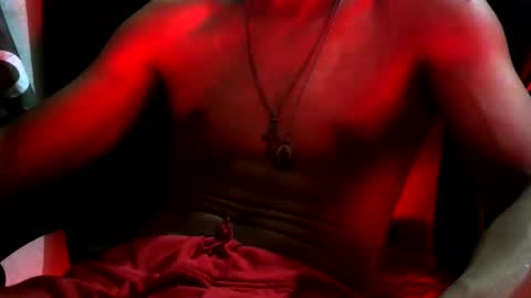 horsebrowm online show from 02.08.26