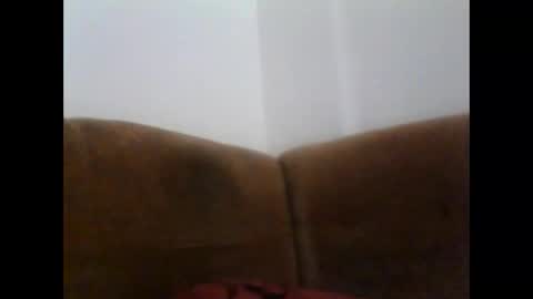 Snapshot of horsechris chatting on 12.17.24 Chriss90 online show from 12.17.24