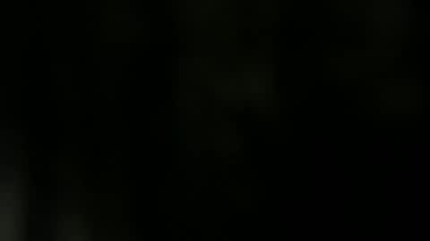 Bbc horsey online show from 12.11.24