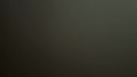 Snapshot of horsedick1236 chatting on 07.04.26 Bbc horsey online show from 07.04.26