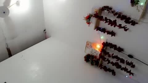    online show from 02.23.25