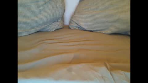 Lars online show from 03.01.25