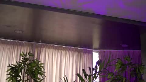 Anais online show from 10.27.25