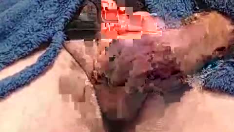 Hotcam50 online show from 12.07.24