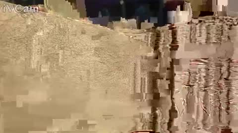 Hotcapolx online show from 11.17.25