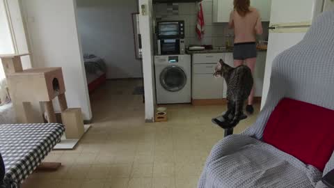 Snapshot of hotinhell666 chatting on 12.24.24 Hikikomori Alex online show from 12.24.24