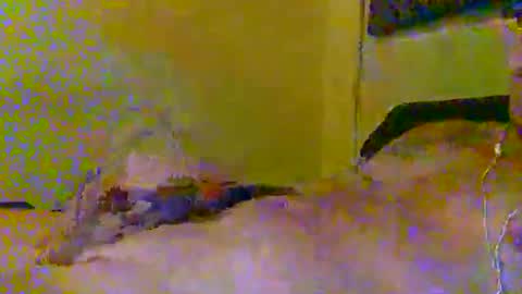 hotjox online show from 03.05.26