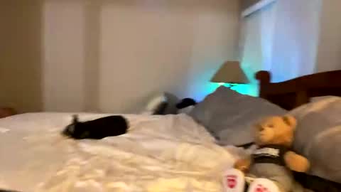 hottiewithabody101 online show from 04.11.26