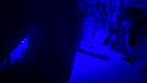 Snapshot of howbowdadareboy33 chatting on 04.21.26 ask me online show from 04.21.26