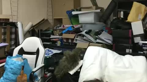 Snapshot of howsthat2024 chatting on 01.18.25 howsthat2024 online show from 01.18.25