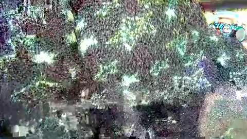 hp58649blabla online show from 09.24.25