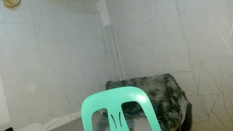 Cara online show from 04.12.26