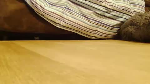 BigFTMdick online show from 12.26.24