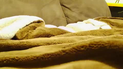 BigFTMdick online show from 12.30.24