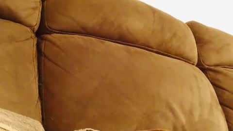 BigFTMdick online show from 01.30.25