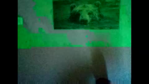 Snapshot of huidos2006 chatting on 11.11.25 huidos2006 online show from 11.11.25