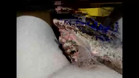 Snapshot of hung_mac0 chatting on 02.17.26 hung_mac0 online show from 02.17.26