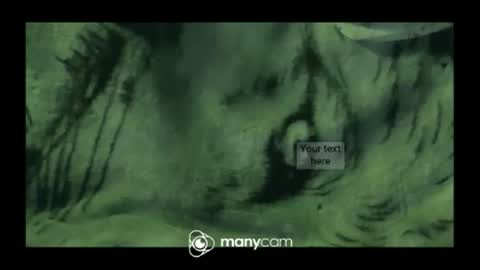 Snapshot of hungc2c420 chatting on 03.10.26 hung420boner online show from 03.10.26