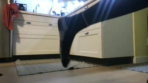 Snapshot of hunyybunz chatting on 04.28.26 Goddess Hunyy online show from 04.28.26