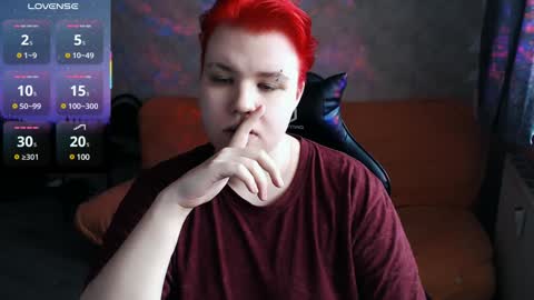 Snapshot of husk_ryan chatting on 02.01.25 Ryan online show from 02.01.25