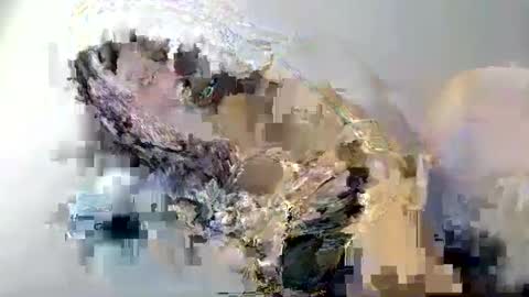 Snapshot of i_love_eula chatting on 02.12.25 cant get you out of my head online show from 02.12.25