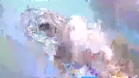 Snapshot of i_love_eula chatting on 02.15.25 cant get you out of my head online show from 02.15.25